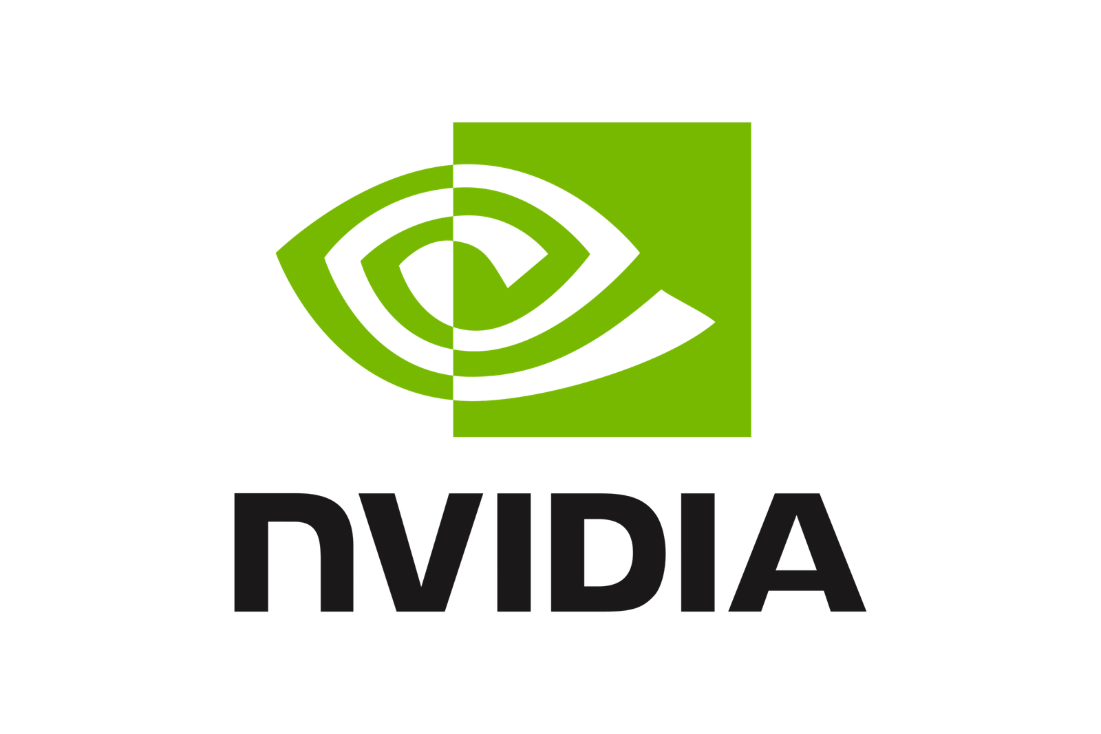 NVIDIA NVIDIA